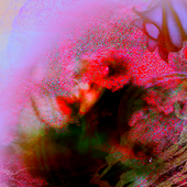 Avatar for Clarify_y