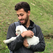 Avatar di guifferrari