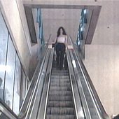 0033352859_10.jpeg