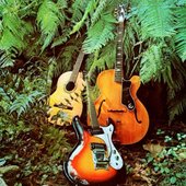 Exotic Guitars_4.JPG
