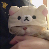 mikamikaaa 的头像