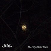 The Light Of Our Lives