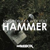 Hammer