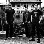 wormrot-bw-data.jpg