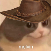 Avatar for MelvinSmelvin