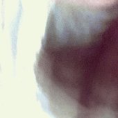 Follow