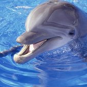 25a72b6f-b0f9-4a4b-8ff7-98a805dbf7f8.jpg