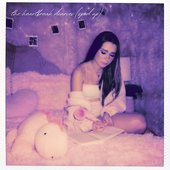 the heartbreak diaries (sped up version)