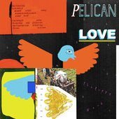 Pelican Love Album Cover