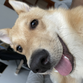 jam_jakub 的头像