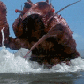 lobsterer 的头像