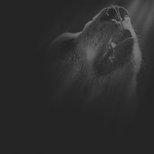 Darken