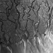 7260A8EA-0AFB-4789-BE50-84E13642409D.jpeg