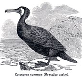 0034016194_10.jpg