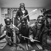 Los Jaguares de la Bahía
