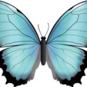 Avatar di blu3morpho