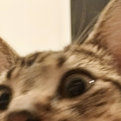 Mizzuyu 的头像