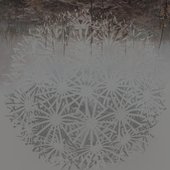 Polish_20191221_091155654.jpg
