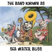 The band known as Sea Water Bliss