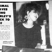 Animal Slaves