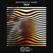 Taco - Single