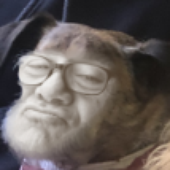 megacorvega 的头像