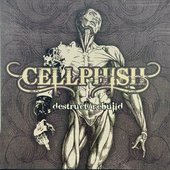 Destruct/Rebuild