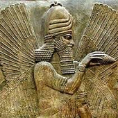 Avatar for the_anunnaki