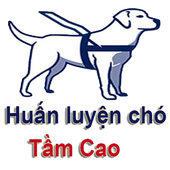 Avatar for huanluyentamcao
