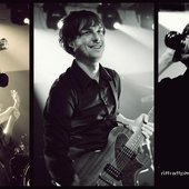 The Red Roosters
