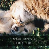 Güneş Etkisi
