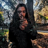 Aokigahara (Georgia).jpg
