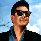 Roy Orbison-7.png