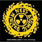 Some Furtive Years: a Ned's Anthology