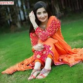 Gul Panra