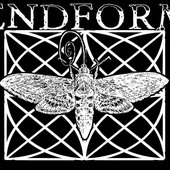 endform.jpg