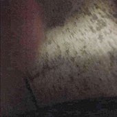 PSX_20210523_013154.jpg
