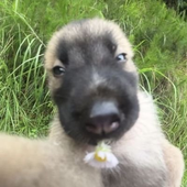 Avatar for laraitapary