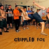 Crippled Fox @ Rise Fest