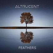 Feathers