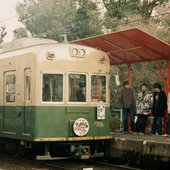 IMG_7855.jpeg