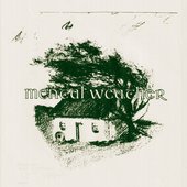Mental Weather