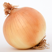 Avatar for OneStrangeOnion