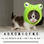 A.D.R.O.M.I.C.F.M.S.