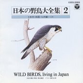 WILD BIRDS, living in Japan 2