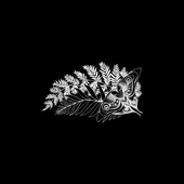 Avatar for killcai