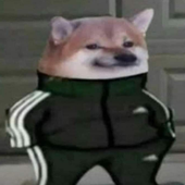 SalvadorSC5 的头像