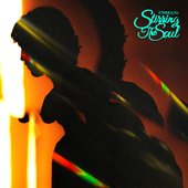 Stirring The Soul