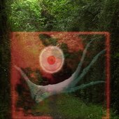 Focal Point