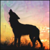 Avatar for Ninysik